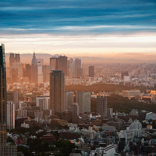 Skyline At Sunset; Tokyo, Japan