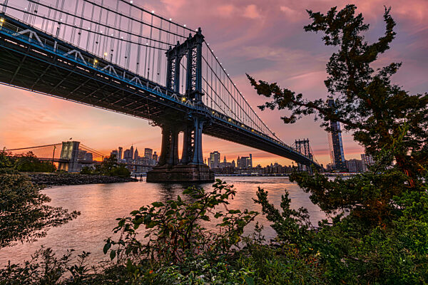 Evening cityscape with a suspension bridge over a calm river and lush greenery in the foreground. New York City, NY, USA Williamsburg Bridge over East River