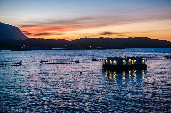 Silhouetted view of fish farm at sunset, Reine, Lofoten, Norway