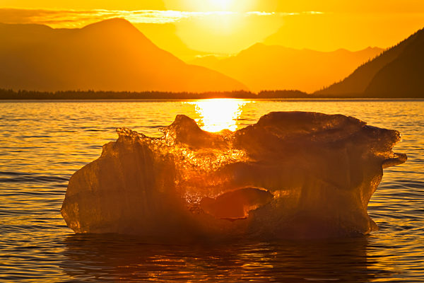 Iceberg Glows In Gold At Sunset, Portage Glacier, Kenai Peninsula; Alaska, United States Of America