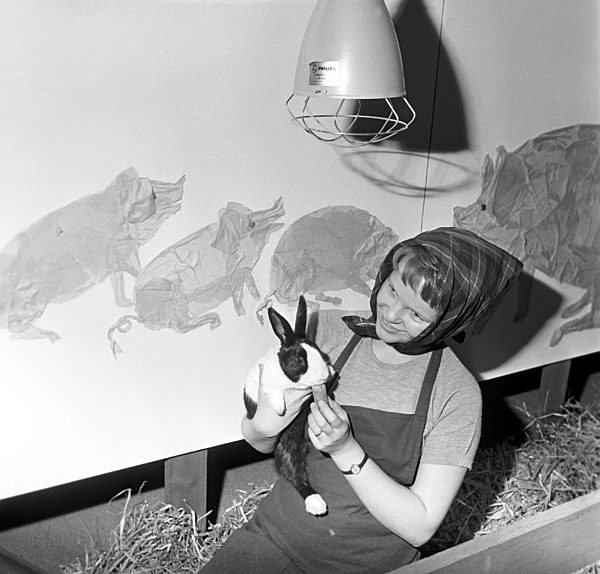 Eröffnung der "Internationalen Grünen Woche"