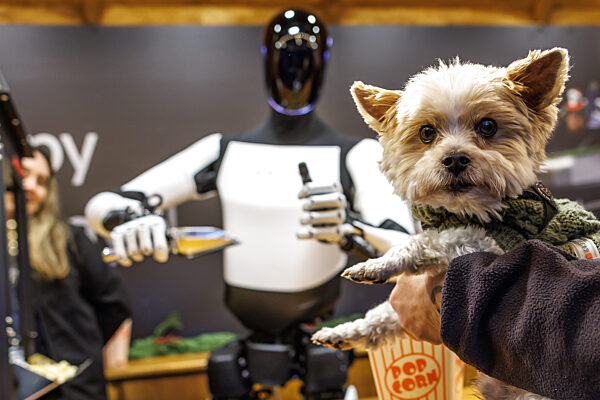 Tesla Event mit Optimus Roboter