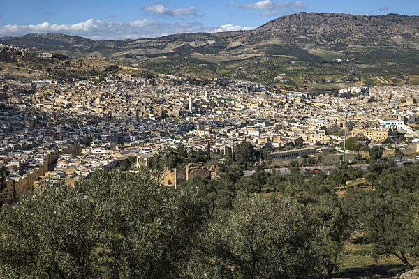 View of Fes city, Morocco