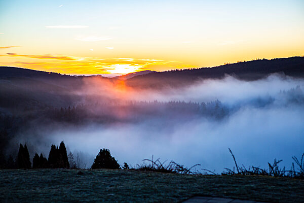 Frühnebel Winterberg