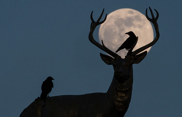 Mond über Stuttgart