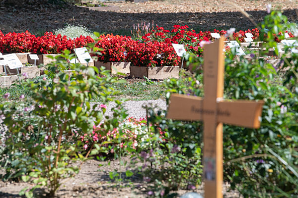 Wiesbaden testet Friedhofspflanzen