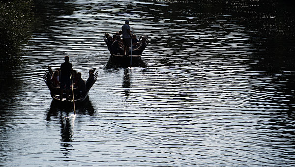 Stocherkähne auf dem Neckar