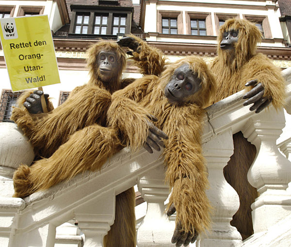 Aktivisten der Tierschutzorganisation WWF (World Wide Fund For Nature)...