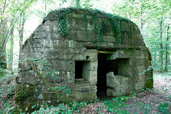 Ein Bunker in einem Wald vor Verdun