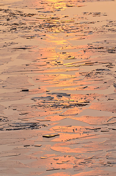 Eisschollen im Abendlicht