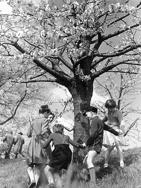 Kindheit auf dem Land 1956