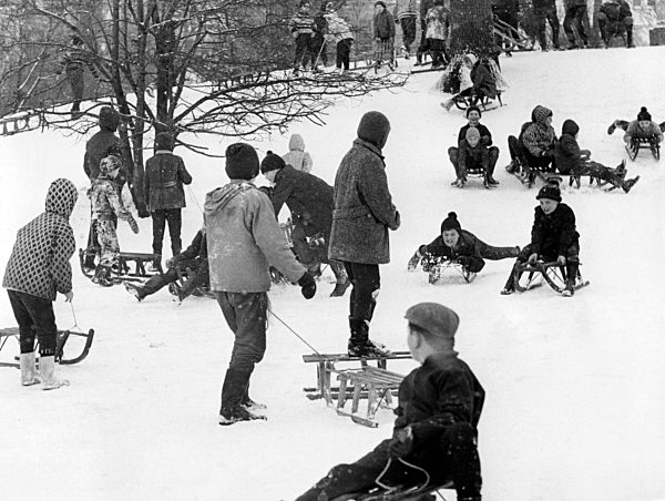 Kinder im Schnee - Rodeln im Park