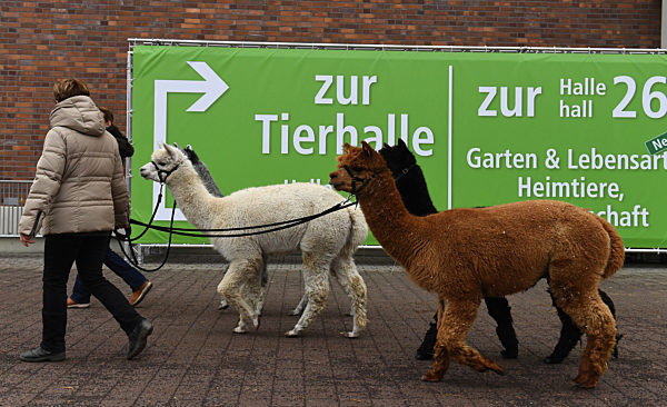 Internationale Grüne Woche Berlin