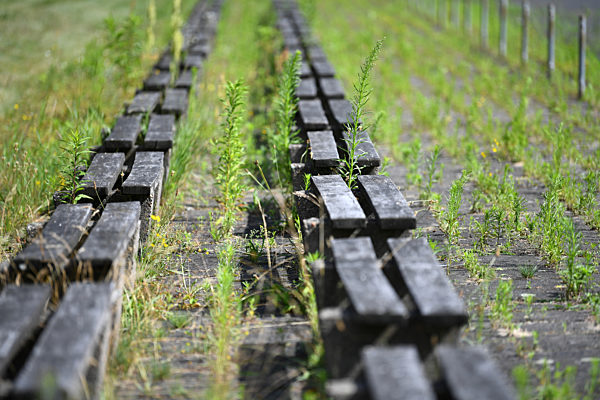 Ehemaliges Olympisches Dorf wird Wohnort