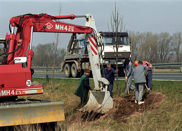 Mit "schwerer Technik" setzt die Tief- und Landschaftsbaufirma Vogel und...