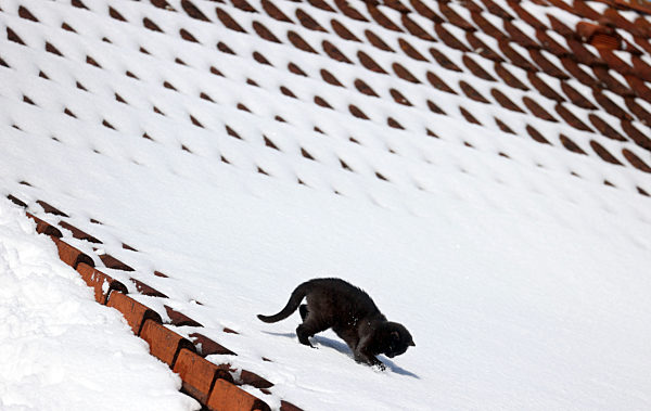 Neuschnee in Südbayern