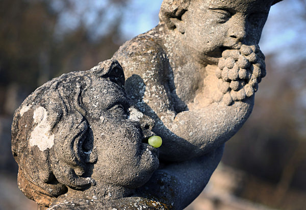 Putto with grape