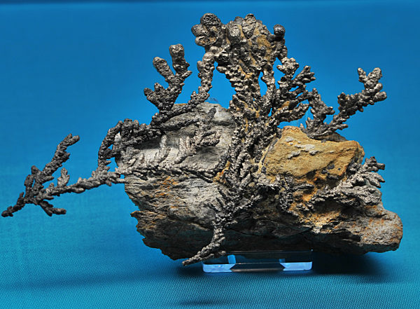 Freibergs Silber - Schweiß und Gier, Macht und Zier