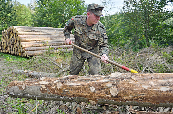 Bundeswehr hilft im Kampf gegen Borkenkäfer