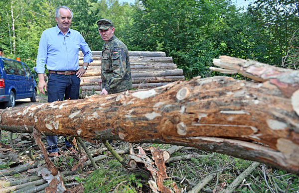 Bundeswehr hilft im Kampf gegen Borkenkäfer