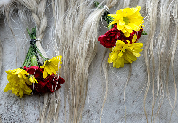 Traditioneller Rosstag von Rottach-Egern