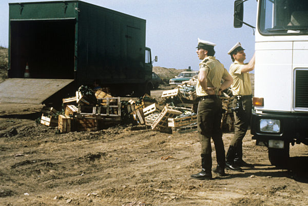 Reaktorunfall in Tschernobyl: Polizei überwacht Gemüsevernichtung