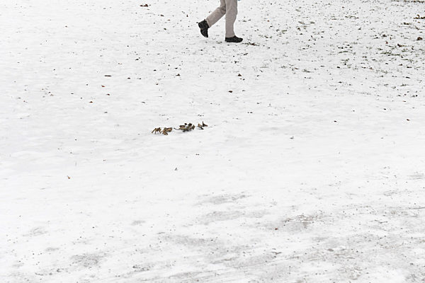 EXCLUSIVE - Ein Spaziergang mit Rainer Langhans