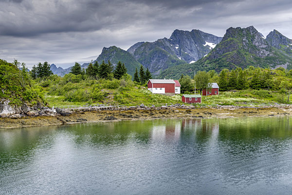 Landscape in the Lofoten with a farmhouse and mountains