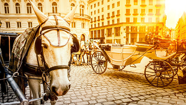 An image of a typical horse carriage in Vienna Austria