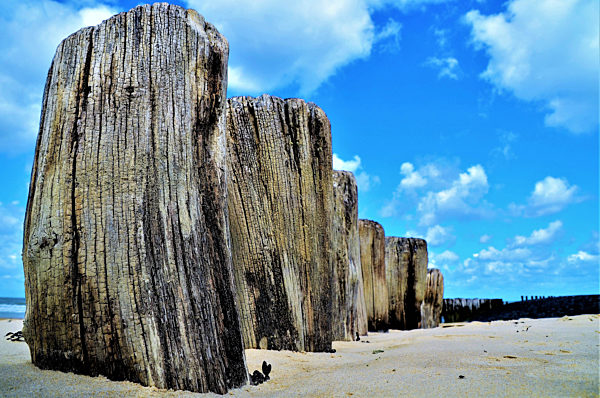 Planks at the beach in the netherlands