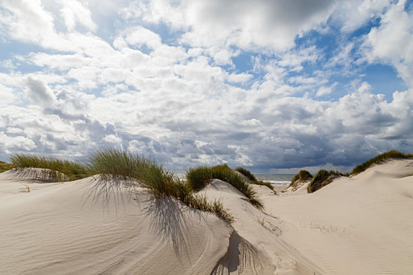 dunes on Amrum, Germany