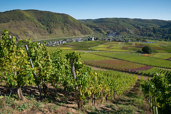 Panorama von Ediger-Eller, Mosel, Deutschland
