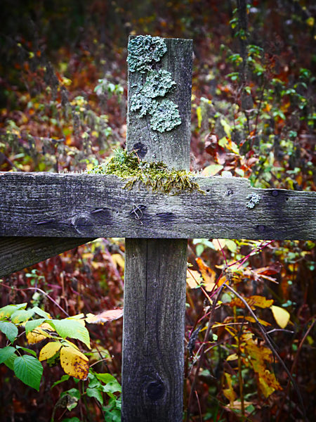 Holzkreuz