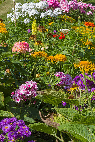 Blütenpracht in einem traditionellen Bauerngarten