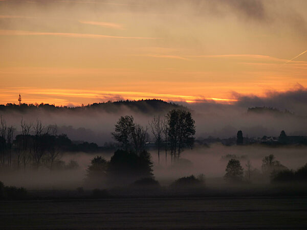 Early Morning Fog In Ampermoos, Amper Fen, River Valley Fen Near Lake Ammersee, Next To Eching, Upper Bavaria