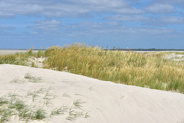Dune Landscape Near St. Peter-Ording