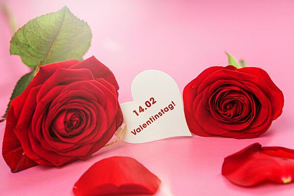 Bavaria, Germany - 11 February 2023: On 14. 02. Is Valentine's Day. Greeting On A Heart Between Two Red Roses. PHOTOMONTAGE
