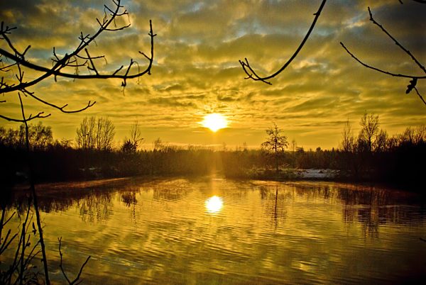 small lake in golden evening sun