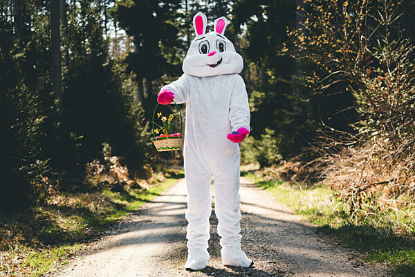 Ein verkleideter Osterhase im weißen Hasenkostüm hält im Wald einen Korb mit bunten Ostereiern und Blumen