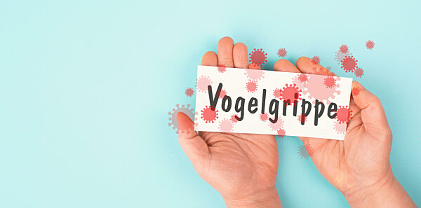 Ausbruch des Vogelgrippevirus, aviäre Influenza, ansteckende Krankheit, die sich auf Säugetiere und Menschen ausbreitet, kranke Tiere, deutsche Sprache