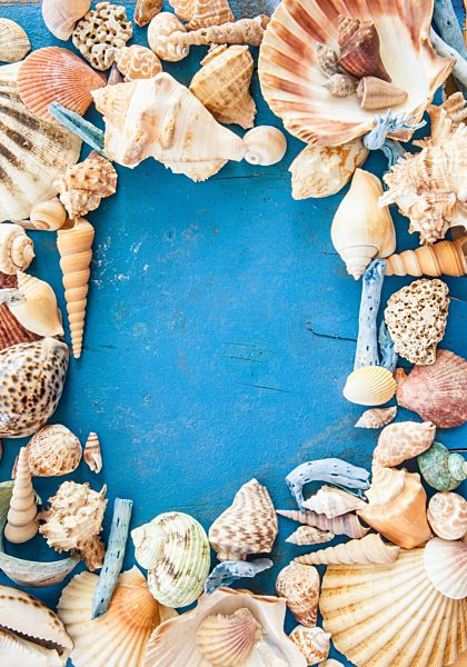 Verwitterter Hintergrund aus Holz mit Muscheln und Strandgut