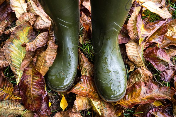 gummistiefel im herbstlaub