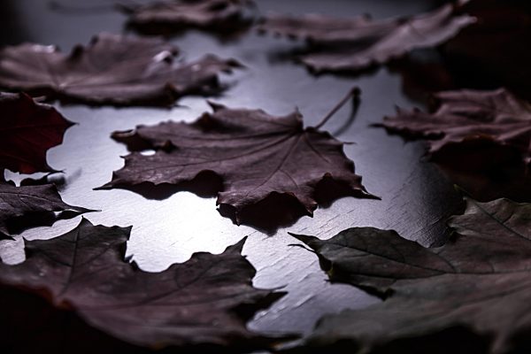 herbstblätter auf tisch