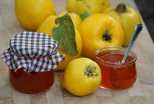 Quittengelee und Quitten