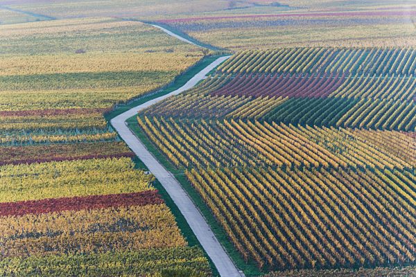 The southern Wine Route in Autumn