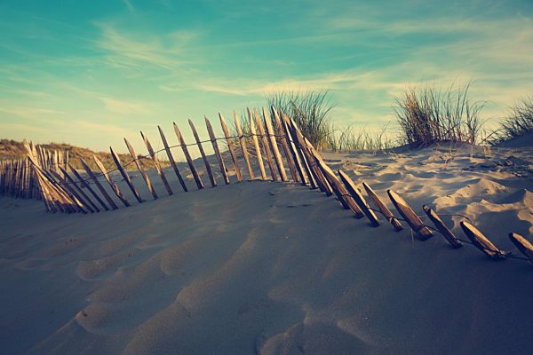 Dunes on the North Sea