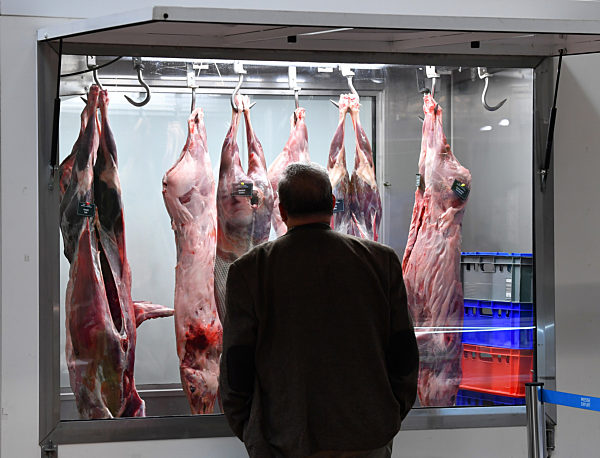 Messe "Reiten-Jagen-Fischen & Forst"