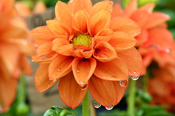 Regenwetter in Thüringen