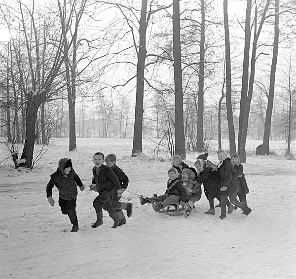 DDR- Schlittenfahrt im Spreewald