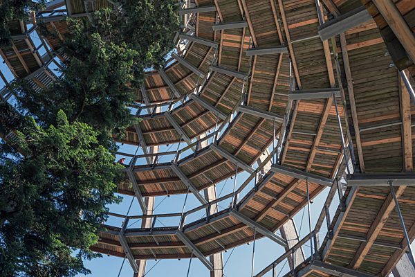 Bavarian Forest National Park